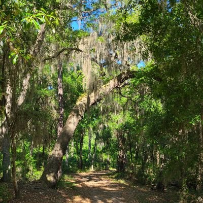 Nature lover , animal lover , poetry lover , space lover , history lover and dreamer. In the woods trying to find myself. Working on healing + being a better me