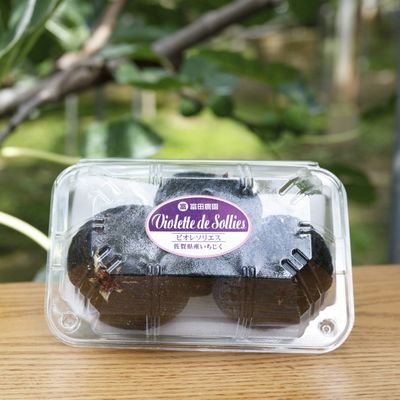 zkjs9zodN3qYb08's profile picture. 基礎スキーやるかな