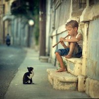 🏹 🐓 (@balamudhan) 's Twitter Profile