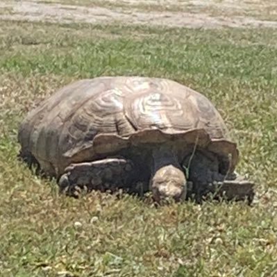 TalePowerful Profile