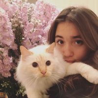 cc (@petj4h) 's Twitter Profile