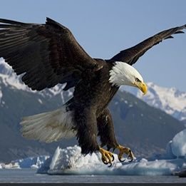 Csrsolutions131's profile picture. A Psychotechnologist!