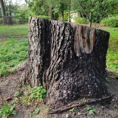 saiougatori's profile picture. 儒学を学んでいるサラリーマンです。通勤時間帯に電車内で自由詩を呟いています。✳『Shidanroku 』CG image collection
https://t.co/BNVWFIQKDv