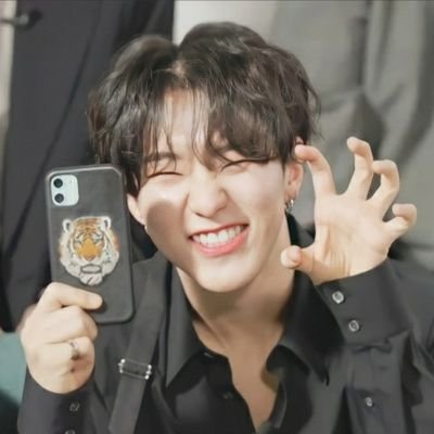 Rai 🐯 || FreePalestine || hoshi best boy