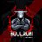 bullrunbsc's profile image