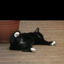 Jackie Tanner - @JackieTanner1 - Twitter