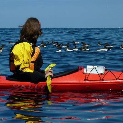 Marine Ornithology Manager @nature_scot Nature and outdoors lover, Munro completist & sea kayaker. Proud mum. Views my own.