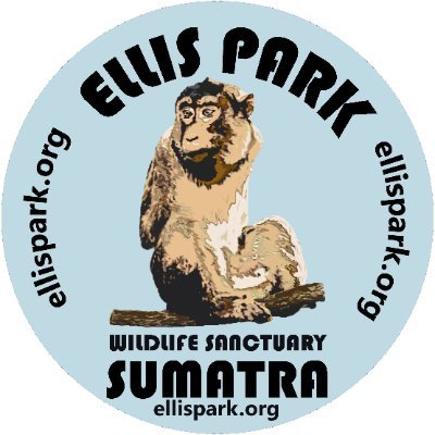 Forever home for wildlife with special needs in South Sumatra. Founded by Warren Ellis, Femke den Haas & Lorinda Jane