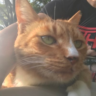 ぶんしちさんのプロフィール画像