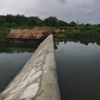 Tree (@tree83276823) 's Twitter Profile