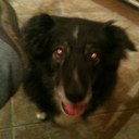 David Pilgrim - @DavePilgrimUofA - Twitter