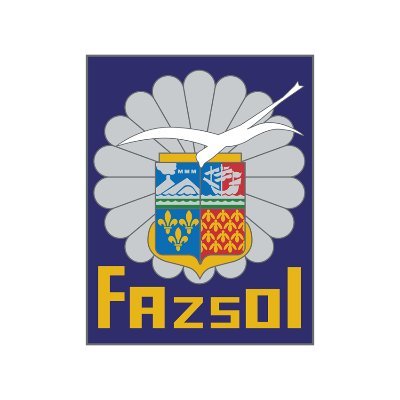 FAZSOI_Officiel Profile Picture