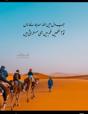 AyeshaI81017412's profile picture. 