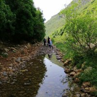 rola slaybi ahmad (@rolaslaybi) Twitter profile photo