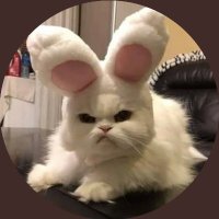 M (@zofyomilma) Twitter profile photo