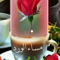 ☜☆☞(◠‿◠)سعود بن الوليد (◠‿◠)☜☆☞ (@22y3audidztwhn4) Twitter profile photo