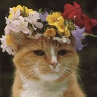 ウム・クルトゥム (@palmyra_zanobia) 's Twitter Profile Photo ウム・クルトゥム (@palmyra_zanobia) 's Twitter Profile Photo