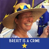 💙 😷 👍🏻🕷Catherine M Ginn 3.5% 🐟🌟🔶 🇺🇦 🌻(@catherinemginn) 's Twitter Profile Photo