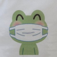 みっちー (@cb400sf1018) 's Twitter Profile