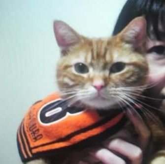 帯広道産子　🐱🐱😹😻😾部　スヌーピー部
⚽️エスパルス　🥊佐野遥涉選手　⚾️杉澤龍選手を応援しています。
👯チアダンス修行中👯