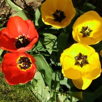 Barbara (@app_bar0) 's Twitter Profile