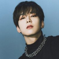 WONWOO JAPAN (@wonwoo_japan) Twitter profile photo