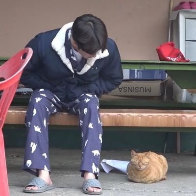 dongsungism's profile picture. your friendly neighborhood catboy collector jen