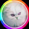 OKaMustMan's profile picture. 🔶All is already done so just do it not 
#LGBTQQIP2SAA #CatLivesMatter @womenssoccerutd
F L I N T A 🌈🐬🕎☯️
shop: 
https://t.co/7cJ2hOcamT