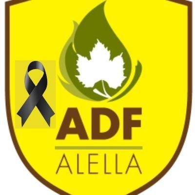 Agrupació de Defensa Forestal-ADF313-🟩🟩🟩🟩
 Prevenció i Extinció Incendis Forestals.🌳👀⛏️🔥
#adfcat 🇬🇪 CSJ2018