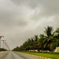 أ. يوسف البريكي (@alburiki5515) 's Twitter Profile Photo أ. يوسف البريكي (@alburiki5515) 's Twitter Profile Photo