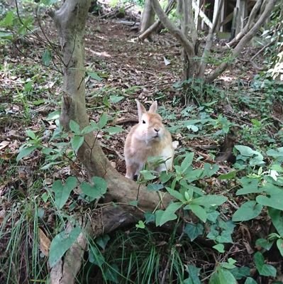 成人済20↑です💡
twst 刀らぶ じゅ etc… 夢プラス含む素晴らしい作品を物陰から拝ませていただく鑑賞アカ