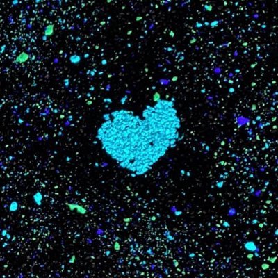 tdk8823's profile picture. Software Engineer / @monet0311 の裏垢