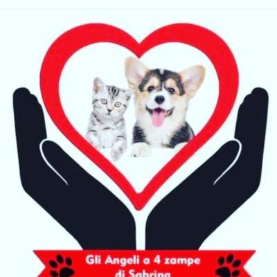 Per aiutare: invia pappe x cani e gatti a 
Ass. Angeli a 4 zampe di Sabrina
via Ancona 11 - 96010 Melilli (sr) -
x info adozioni 347.5180217 
grazie ♥️🐕🐈‍