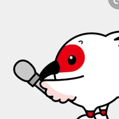 EYuitan's profile picture. 新潟応援(^・^)新潟関連だと軽率に無言フォローしますがお許しください