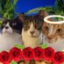 debs spencer (@debsspencer1) Twitter profile photo debs spencer (@debsspencer1) Twitter profile photo