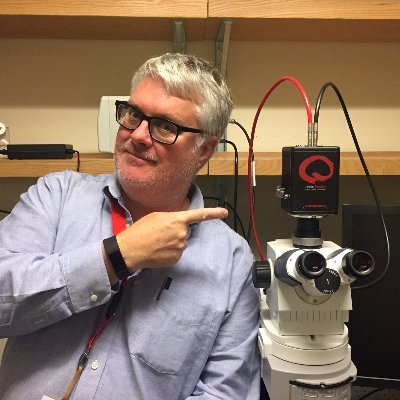 SimsPhotonHobo's profile picture. Professionally I use imaging as a problem solving tool. Personally I love history, ancient coins, and collecting medieval manuscripts.  🏳️‍🌈🇺🇸
