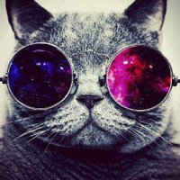 Manu Mannito (@manu_mannito) 's Twitter Profile