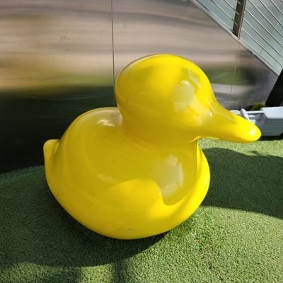 erichoschos's profile picture. OVER joy ! 卒業しました。
ありがとうございました！

ももクロのしおりん推しです💛 AE会員12年目🍀
これからは普通のオープンアカとして使っていこうと思います。