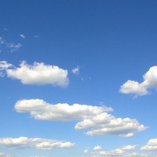 pensador_yo's profile picture. 