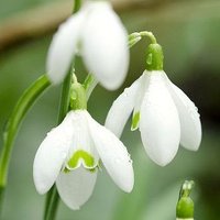 S (@esxxwak6po6xw60) Twitter profile photo