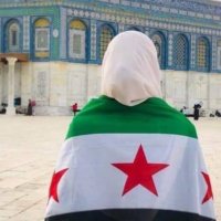 Lana Ali (@alilana14) 's Twitter Profile