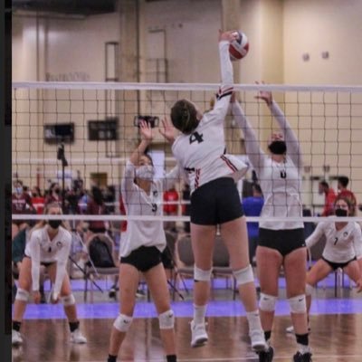laurenblacker1's profile picture. Lauren Blacker// 2024; 6'0 OH & RS 🏐//AZ