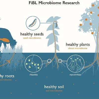 Microbiome Research at FiBL (research institute for organic agriculture)