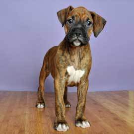 JoshMiller19's profile picture. Coolaid is awesome