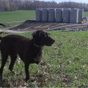 AdaMaeCompton - @AdaMaeCompton - Twitter