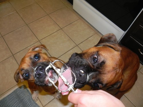 jmvogler's profile picture. 