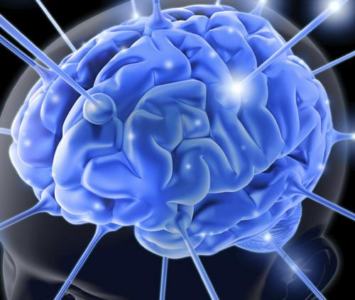 yates29's profile picture. 