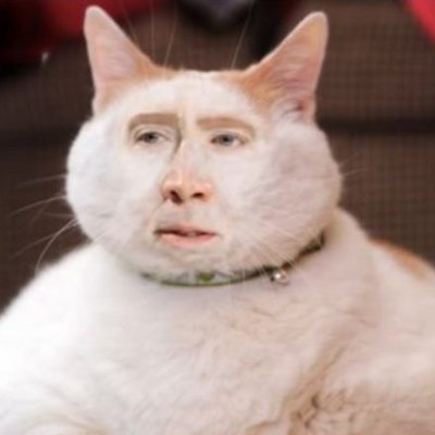 Elitus9's profile picture. Hi I'm the dude who stubs his pinky toe on your ankles.