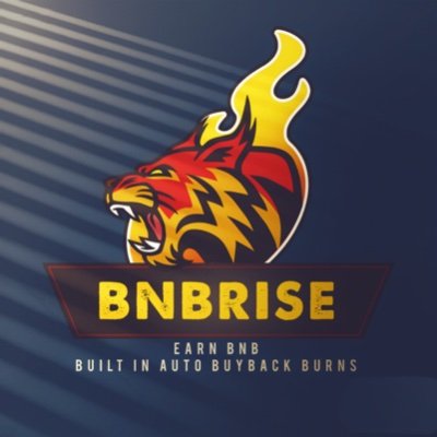 BnbRise's profile picture. BNBRISE is a hyper deflationary token, which rewards investors for holding tokens, whilst also incorporating the buyback approach & earn BNB rewards!🚀🚀