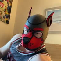 Wrex FF (@ffgingerpig) 's Twitter Profile
